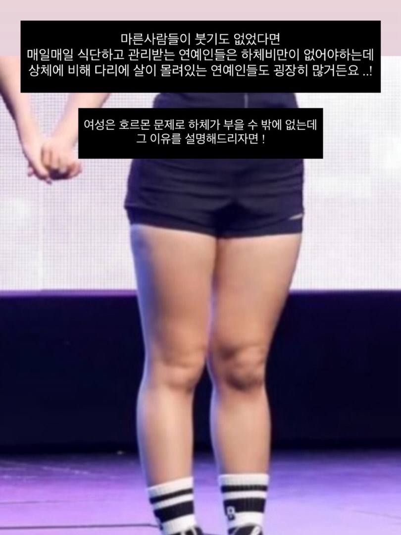 바디셀트 압박밴드