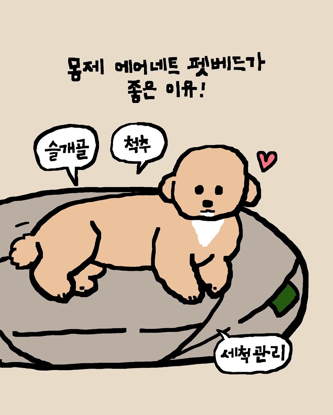 몽제 에어네트 펫베드