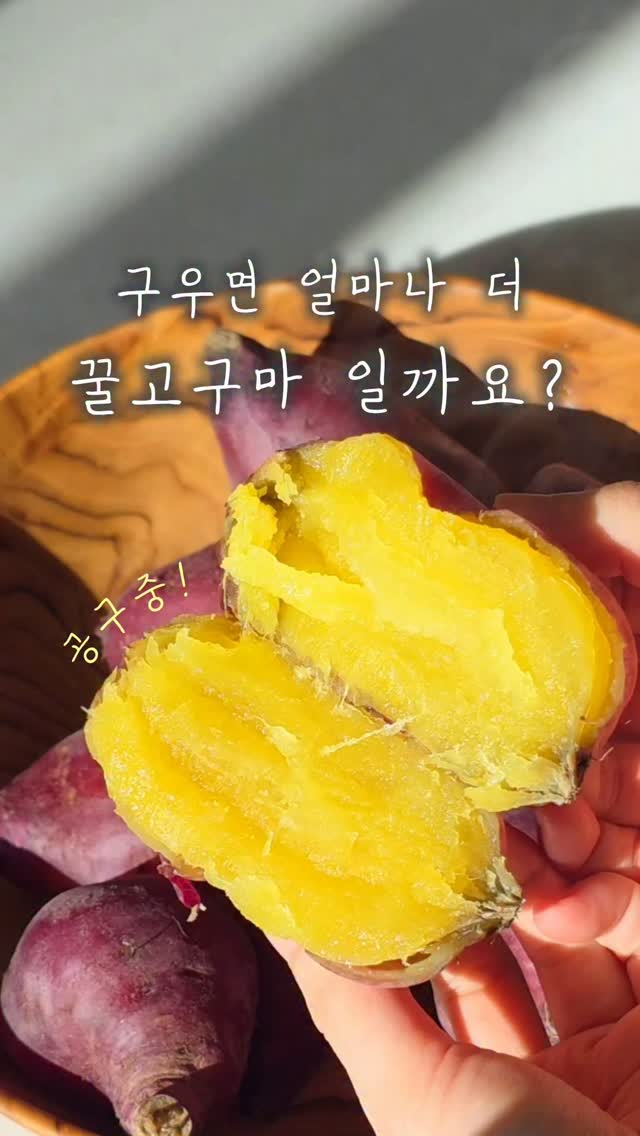 로얄 벌꿀고구마