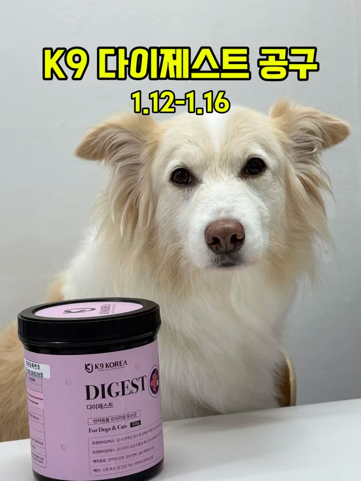 K9 다이제스트 유산균