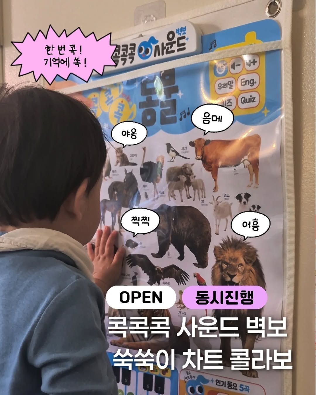 콕콕콕 사운드벽보 & 쑥쑥이차트