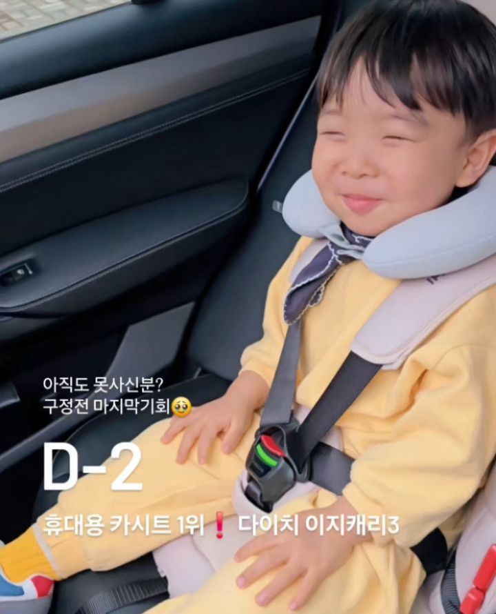 다이치 이지캐리3 휴대용카시트