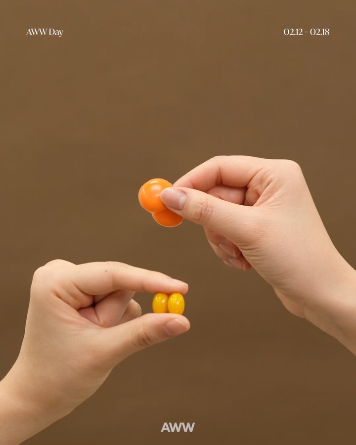 오메가유산균 + 보라지유 + 키즈오메가 세트