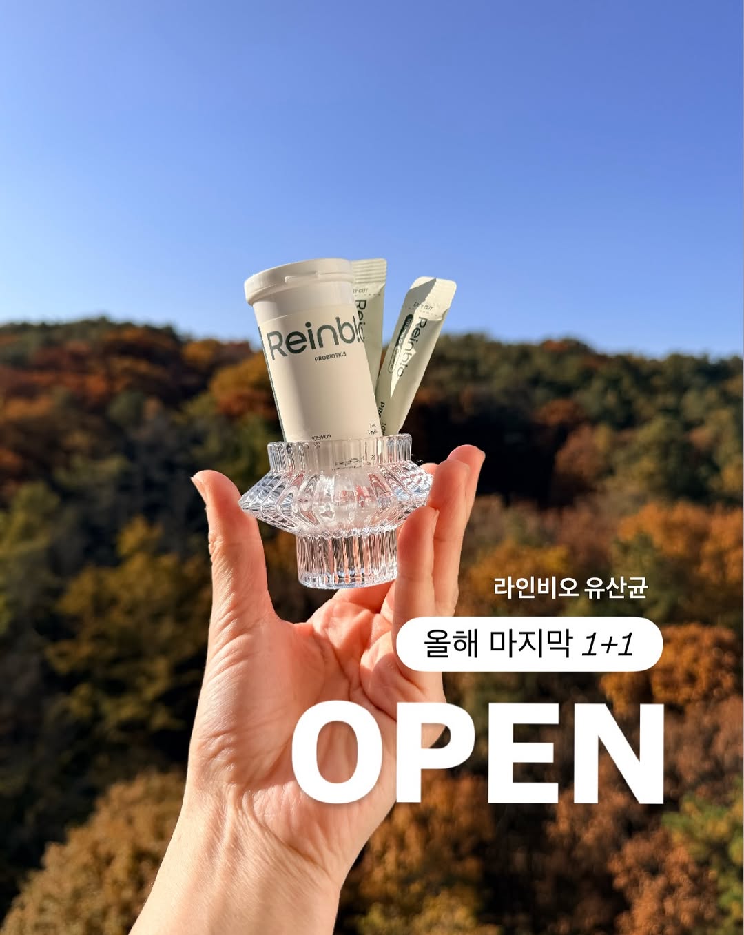 라인비오 유산균