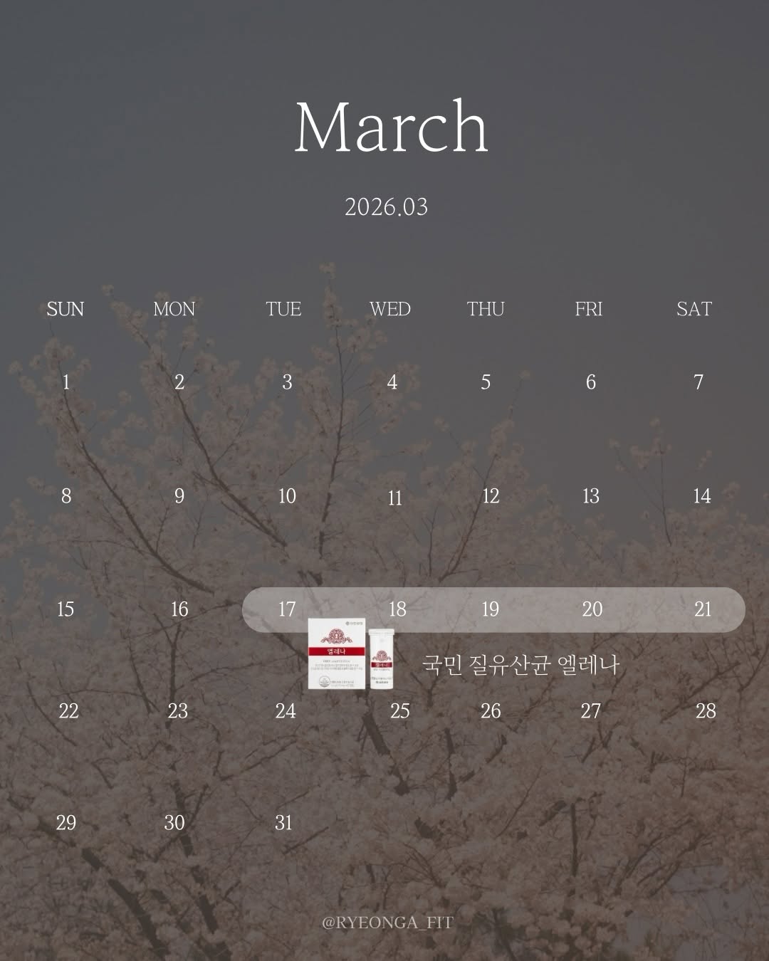 엘레나 질유산균