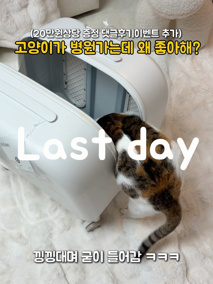 이동캐리어