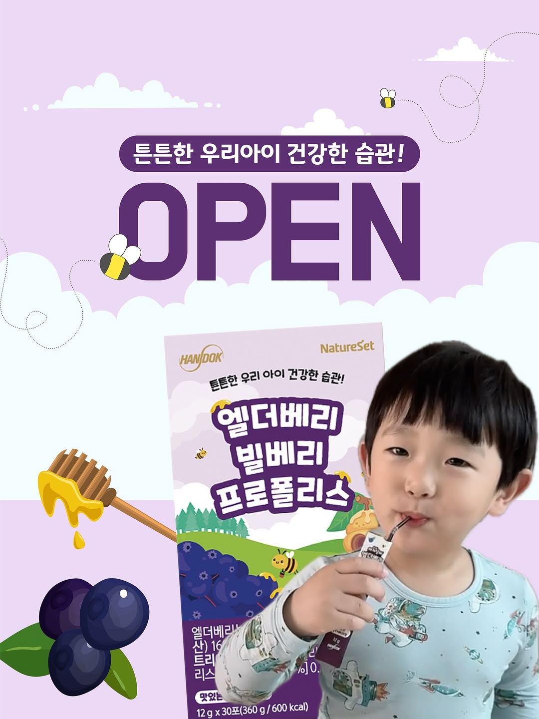 엘더베리빌베리프로폴리스