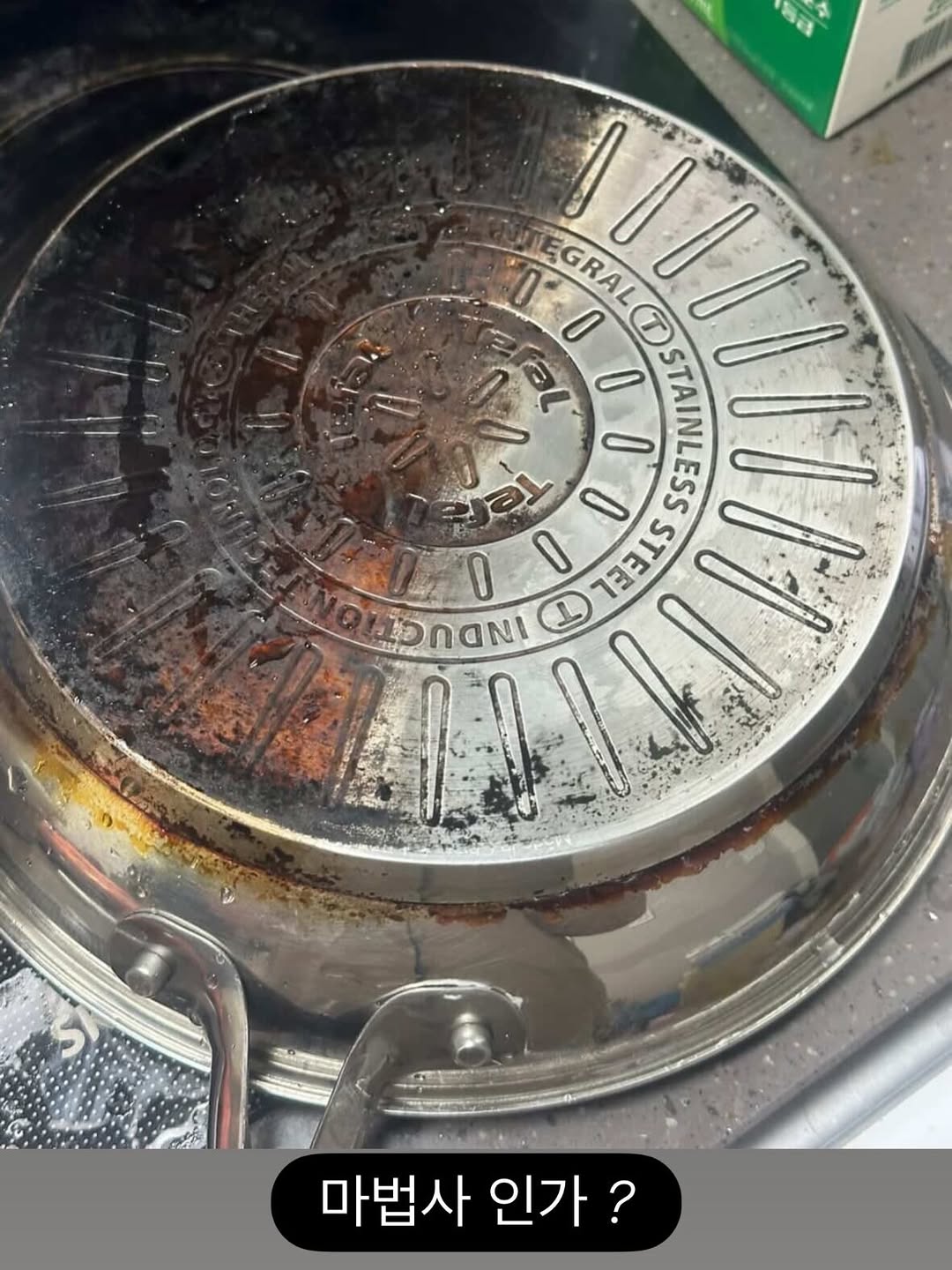 살균 스프레이 소독제 대용량 450ml & 다목적 크림 대용량 400g