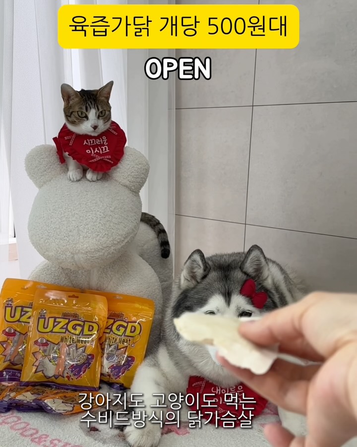 수비드 닭가슴살