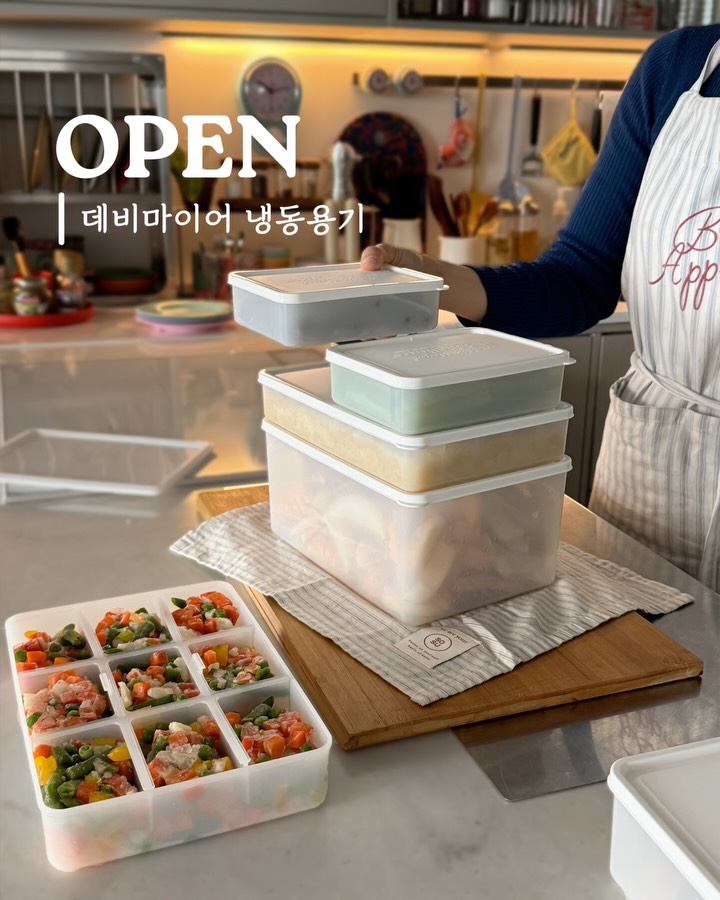 데비마이어 냉동용기