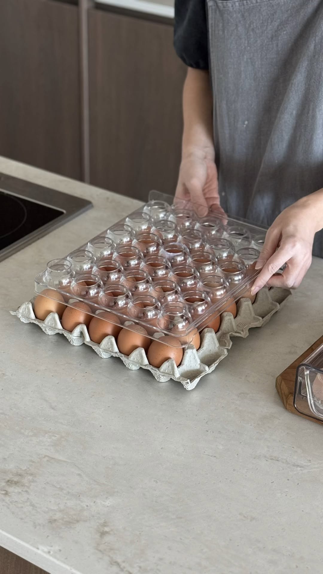 한판 에그 쏙 투명 계란트레이