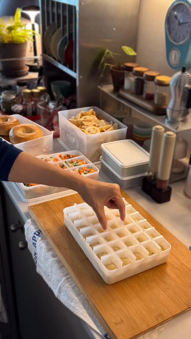 데비마이어 냉동용기