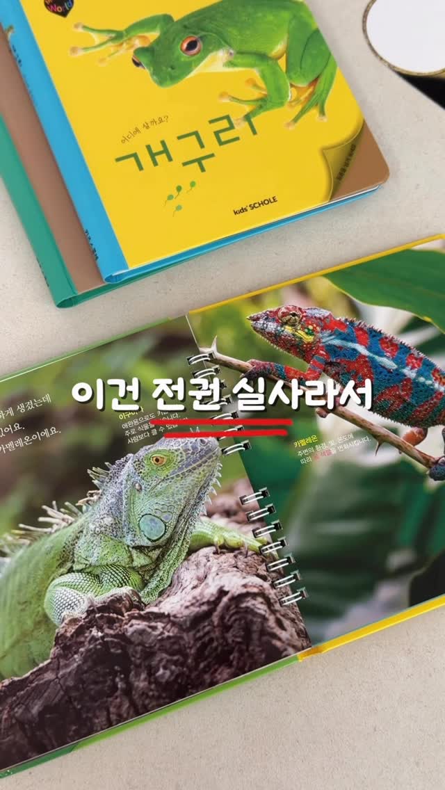 키즈스콜레 마퍼월