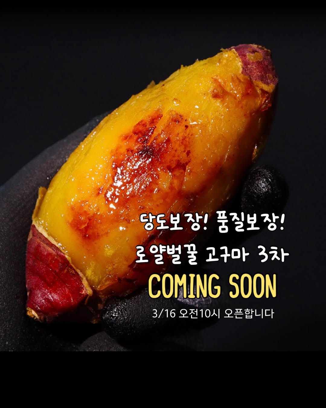 로얄벌꿀 고구마