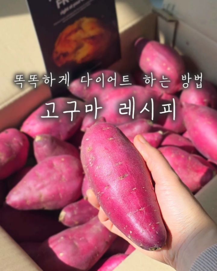 로얄 벌꿀고구마