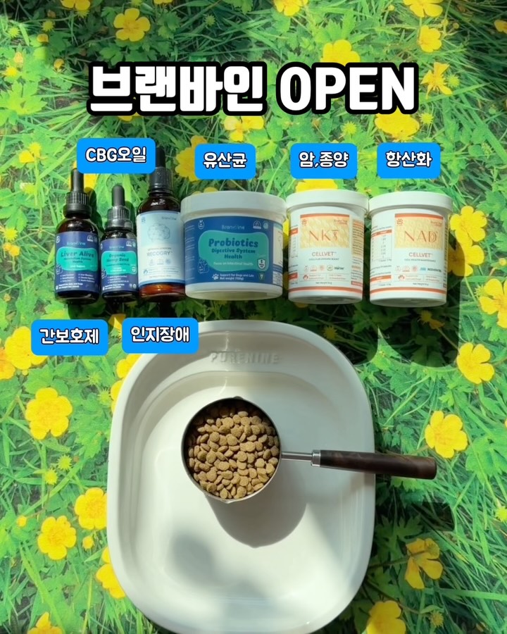 천연 진통제 CBG오일 및 보조제