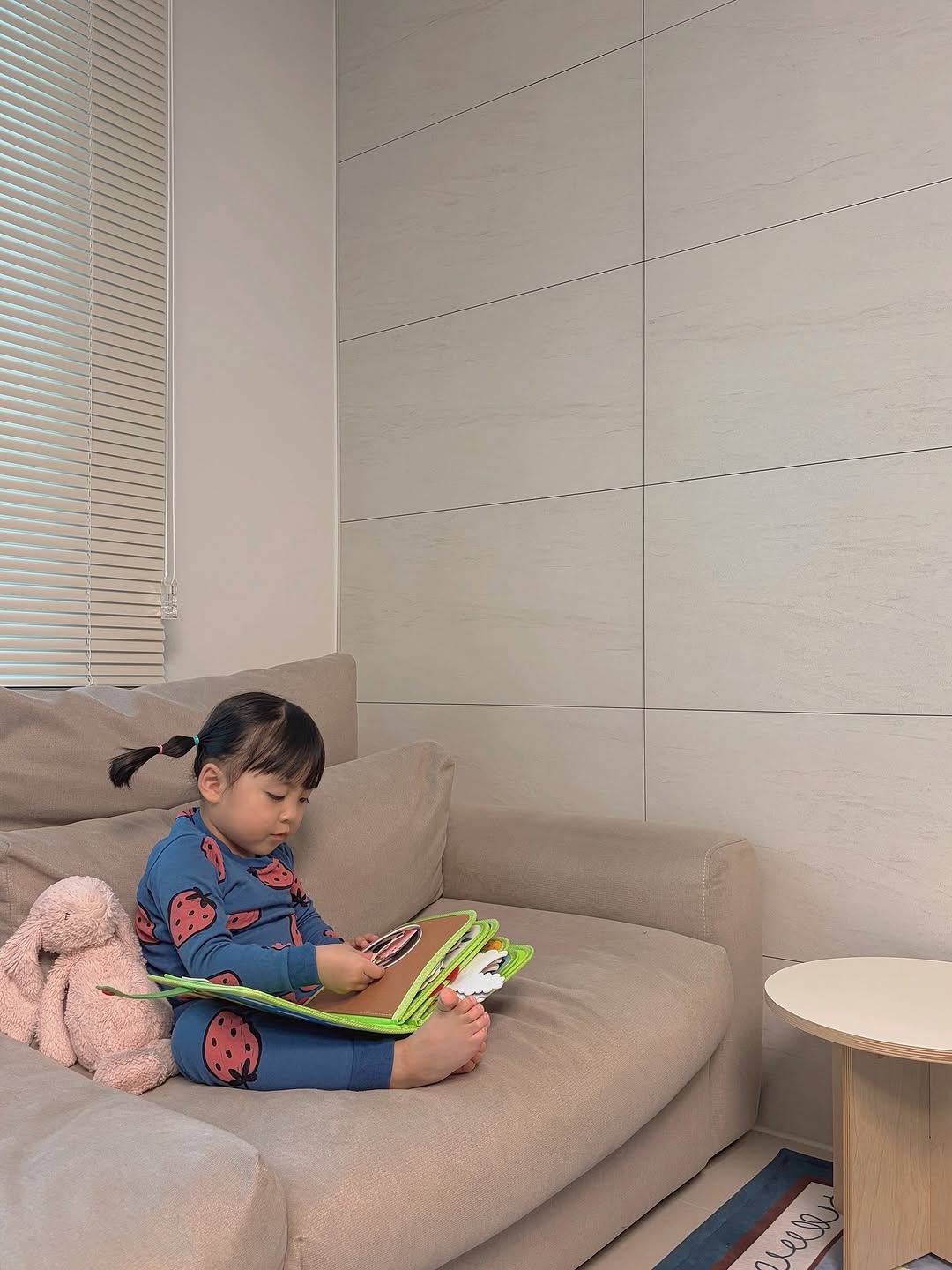 마이베이비북 1 + 1