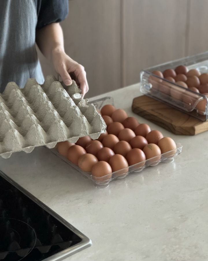 한판 에그 쏙 투명 계란트레이