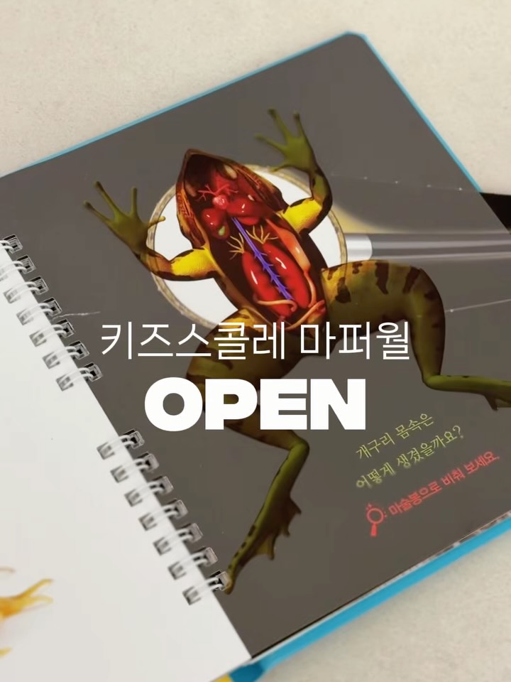 키즈스콜레 마퍼월