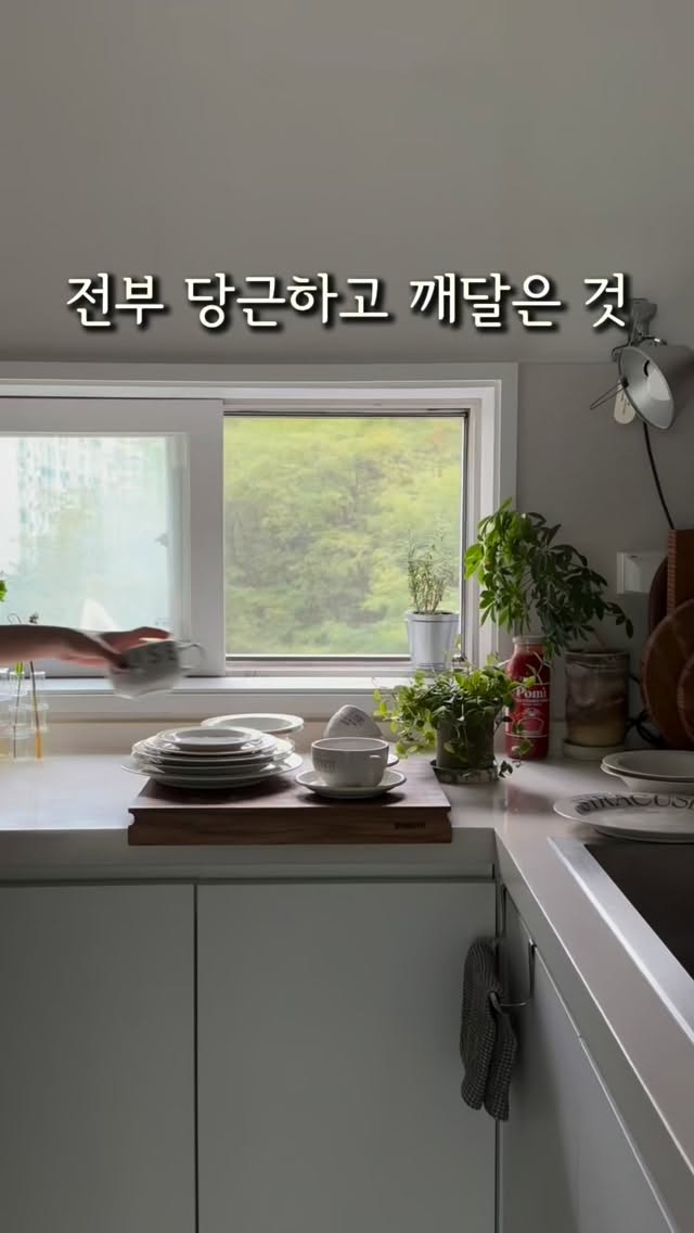 시라쿠스 레터링