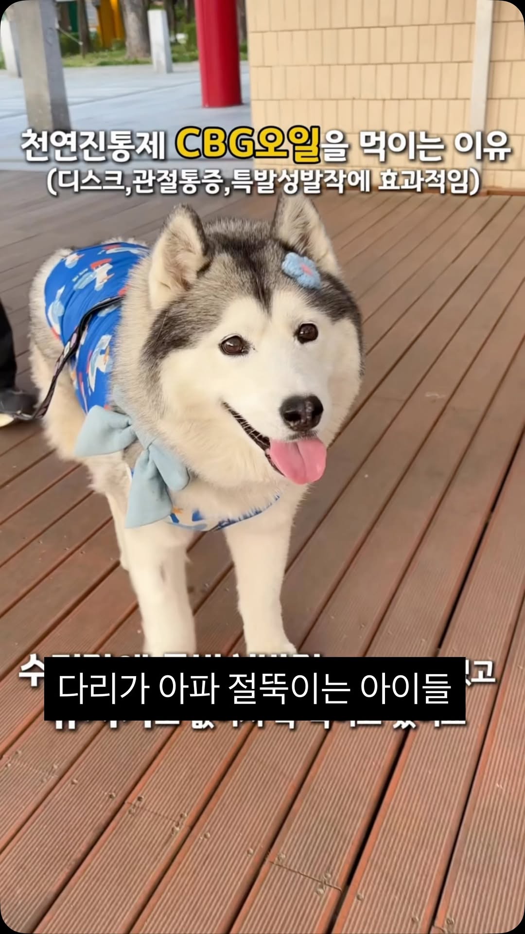 브랜바인 보조제