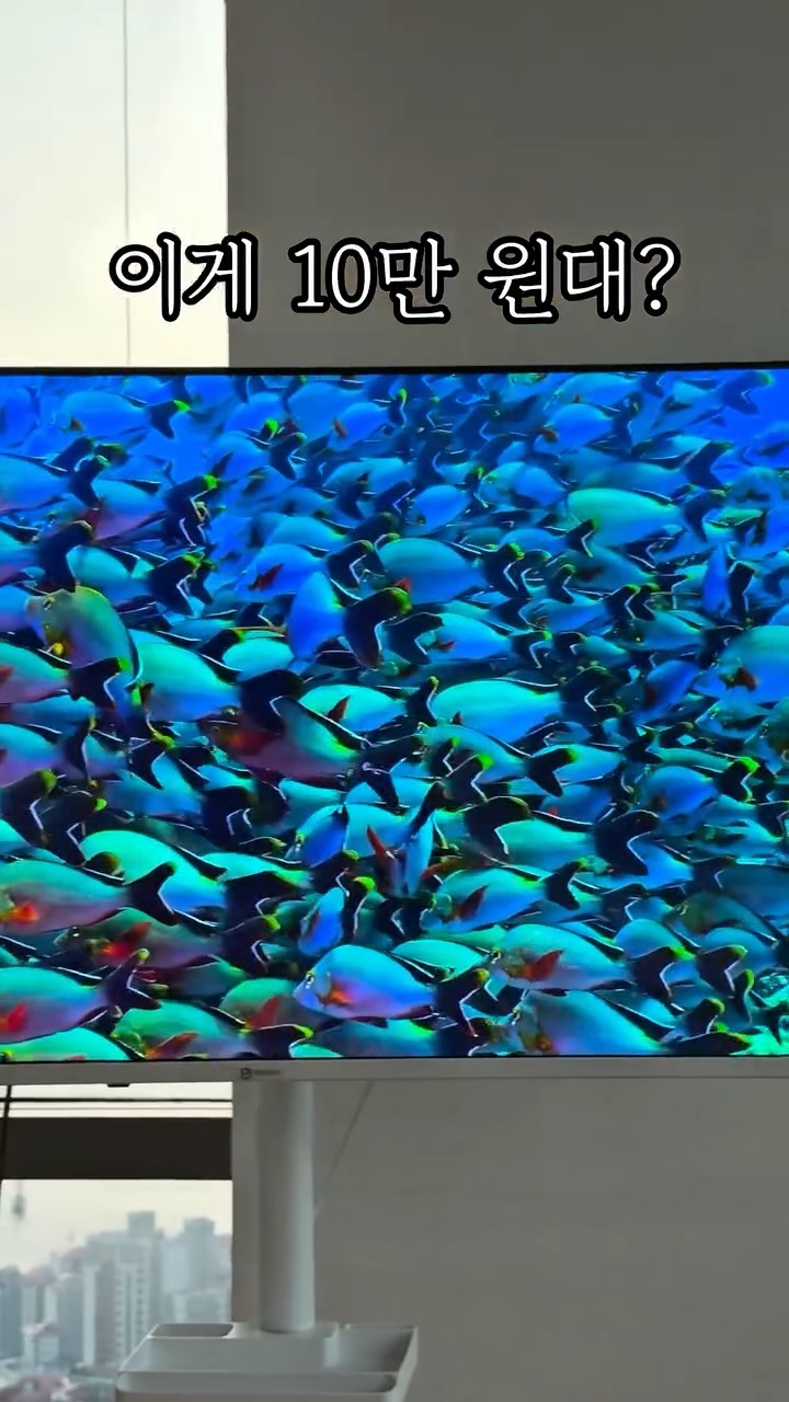 프레미디 이동형 TV