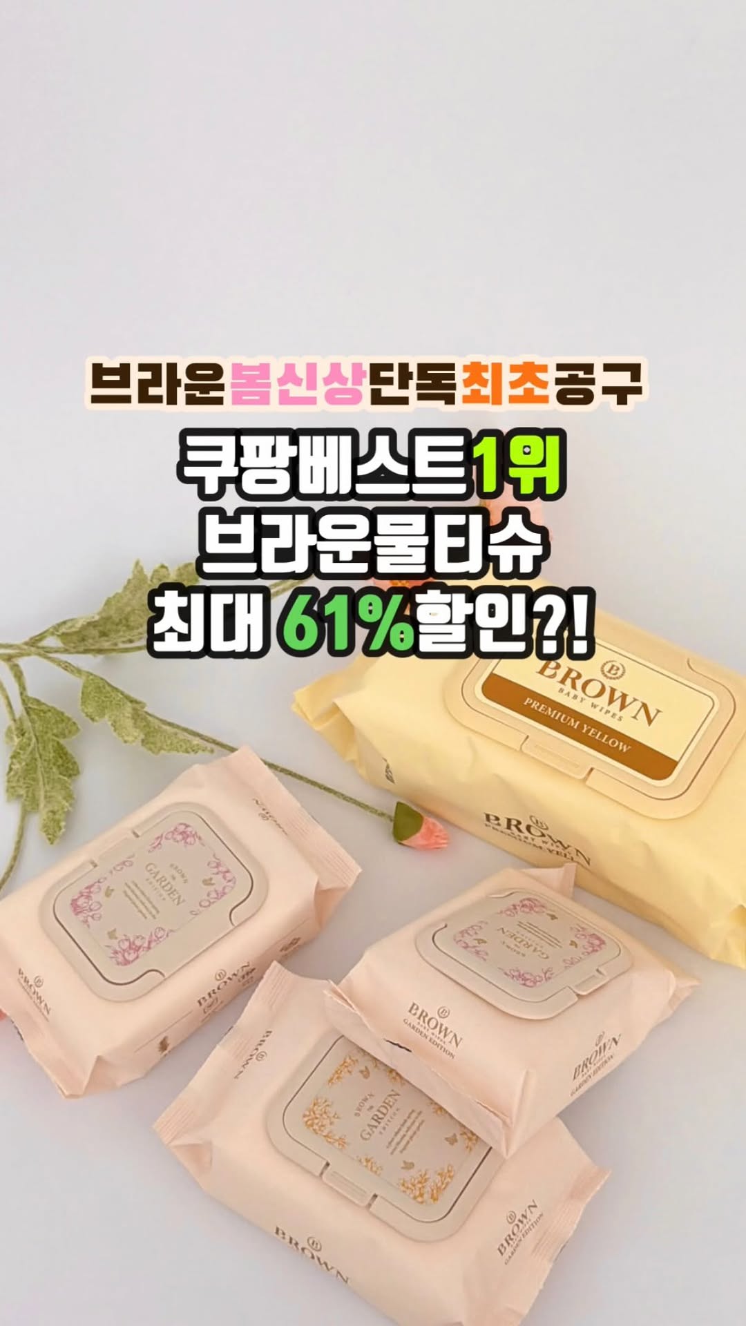 브라운 물티슈 봄 신상 에디션