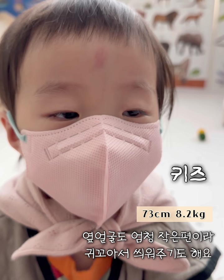 비비무 비비드 라인 마스크