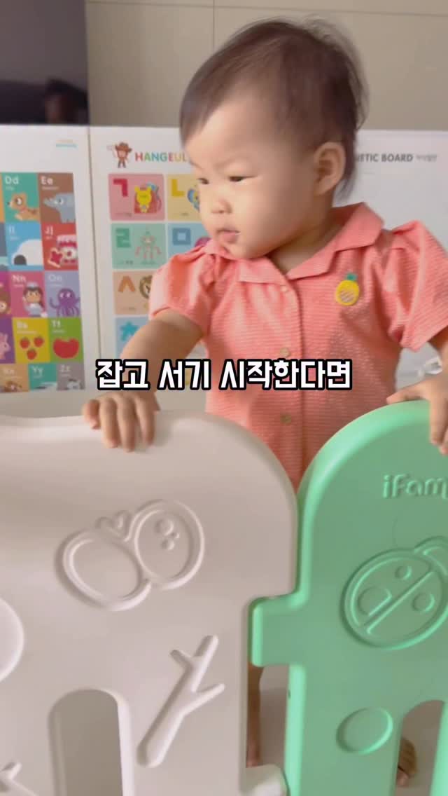 피에스타 뉴슈크레 플러스