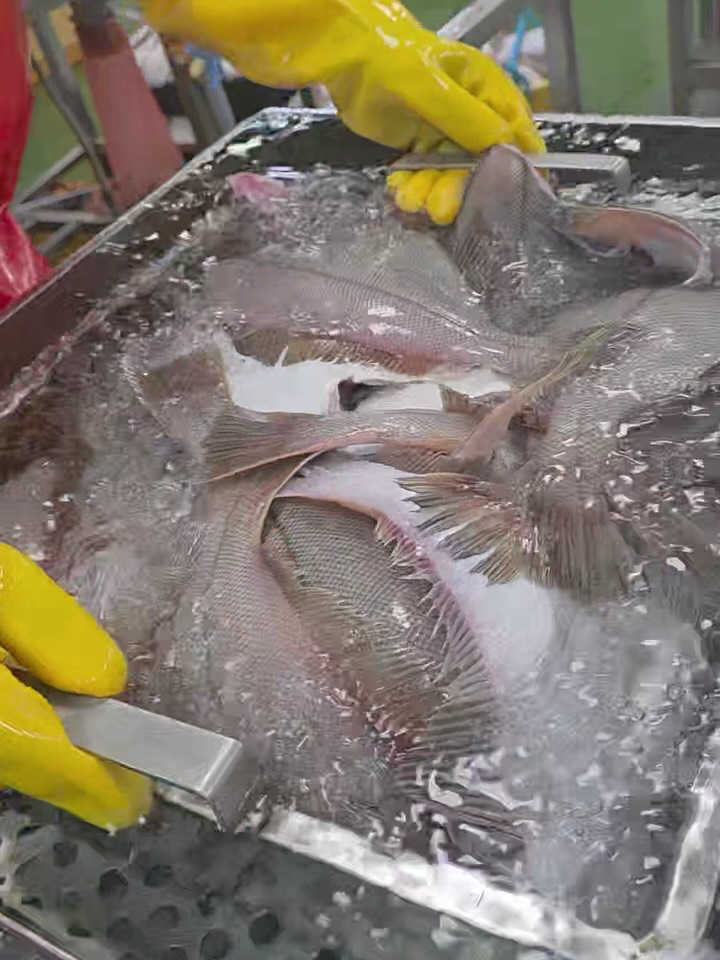 제철 반건조 알 가자미