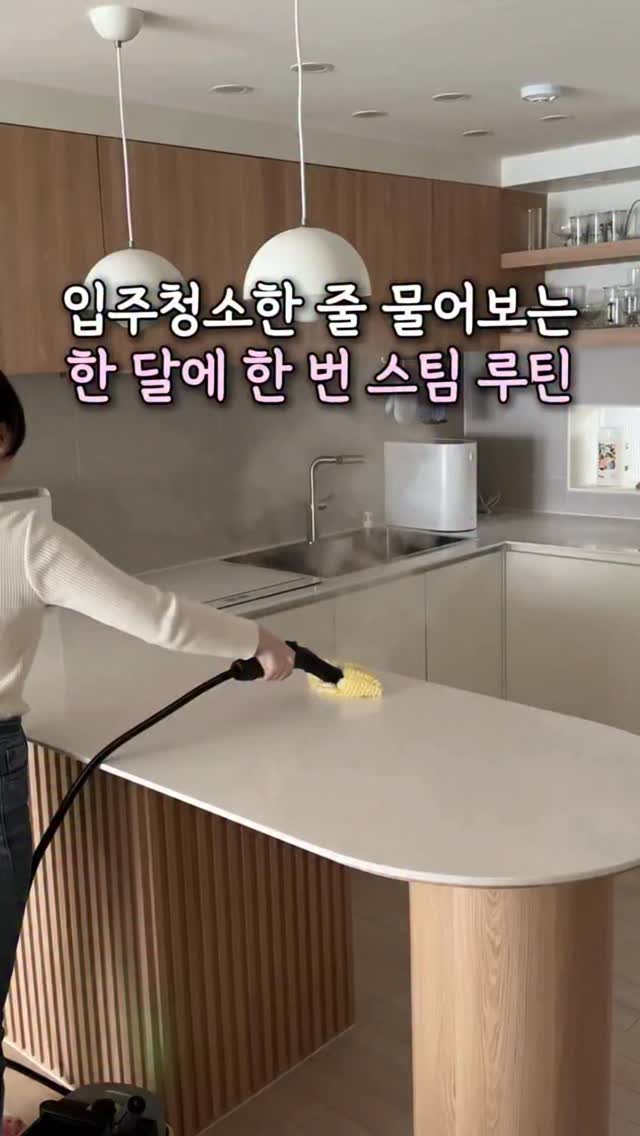 카처 스팀청소기