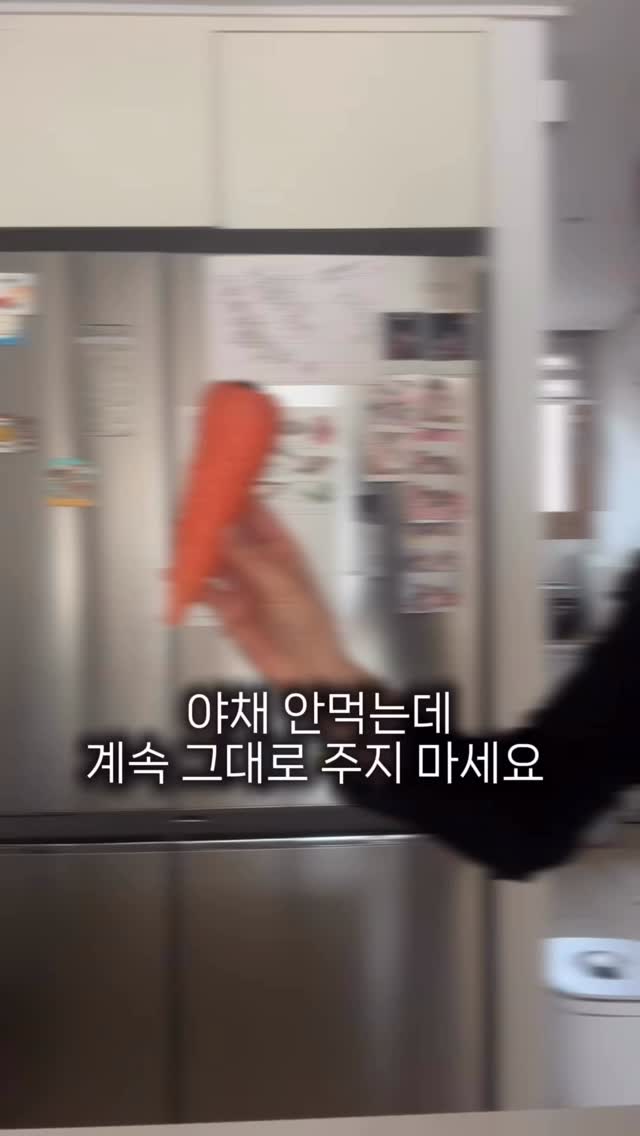 물디홈 전 3종