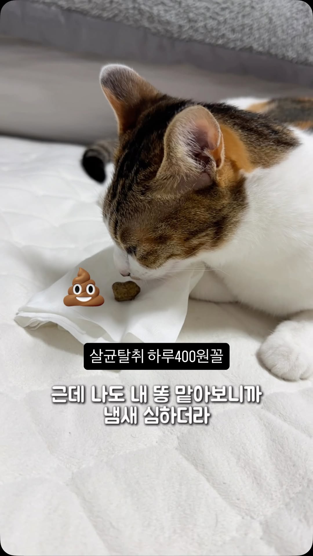 펫퓨저