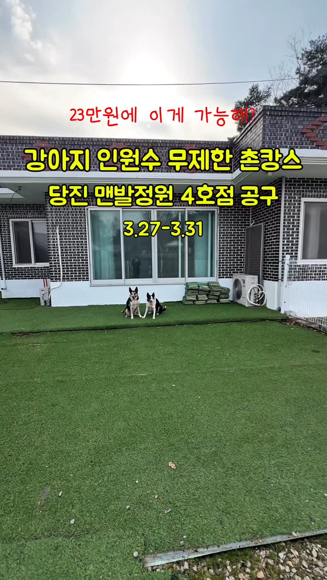 당진 소나무 숲속 촌캉스 (맨발정원 4호점)