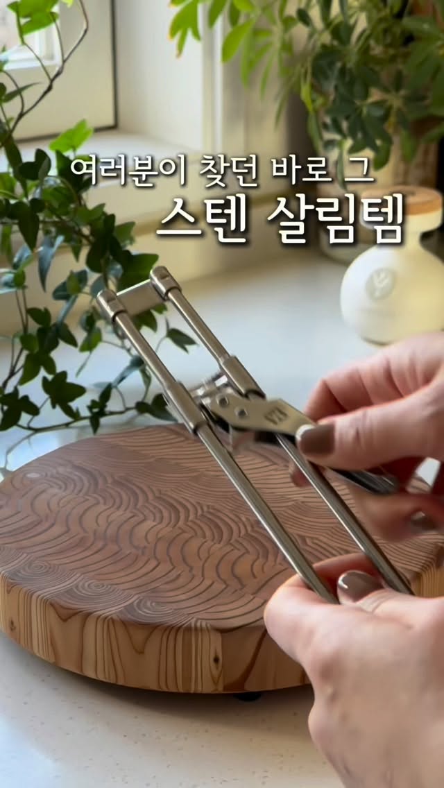바겐슈타이거 올스탠 살림템