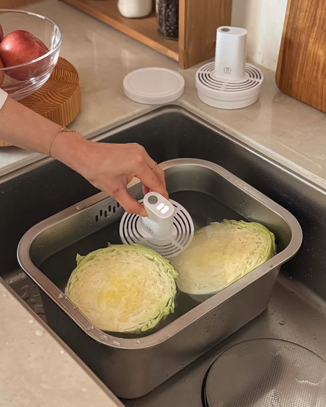 모오아 과일세척기