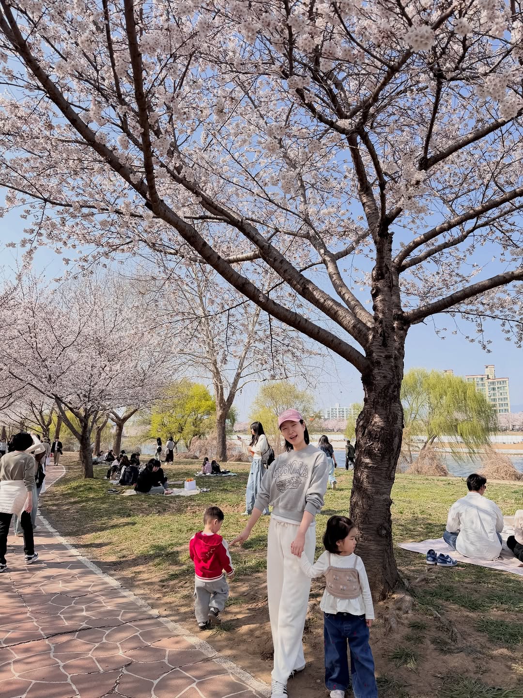 다이치 휴대용 카시트