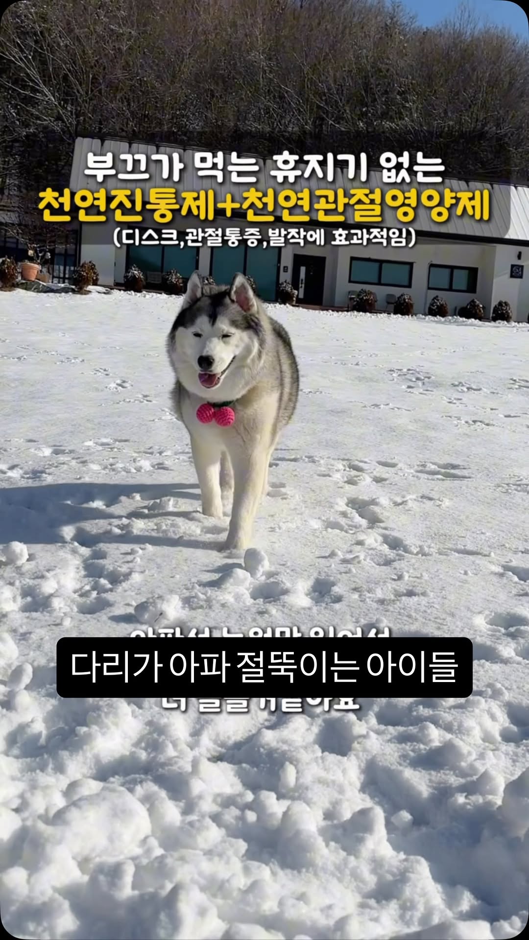 브랜바인 보조제