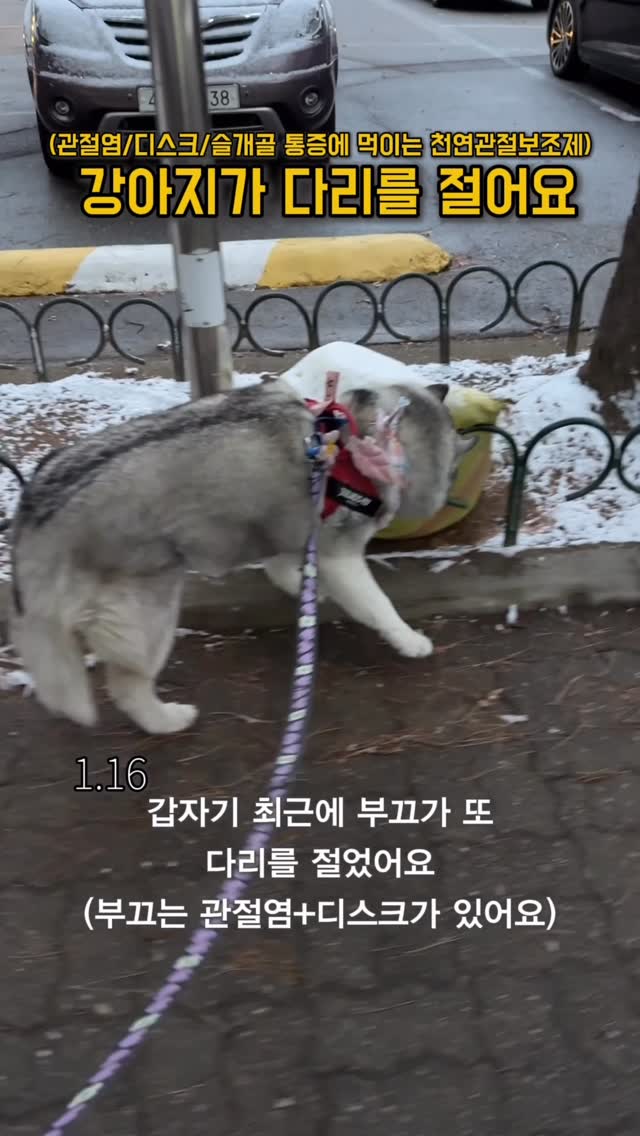 네이쳐스키 관절영양제 & rTG 오메가3