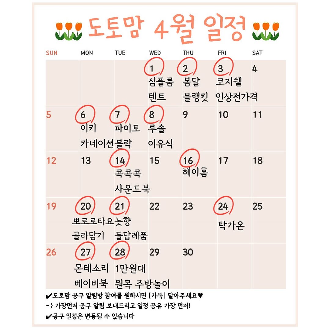 이키 카네이션
