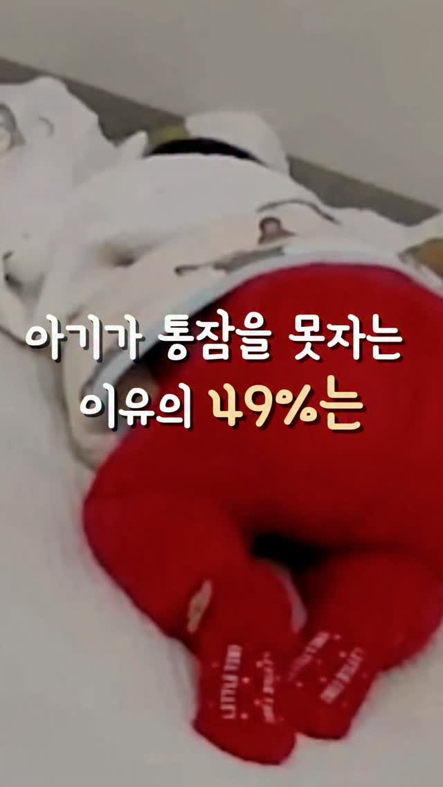 코알라밤 & 바스, 코알라쿨 & 패치