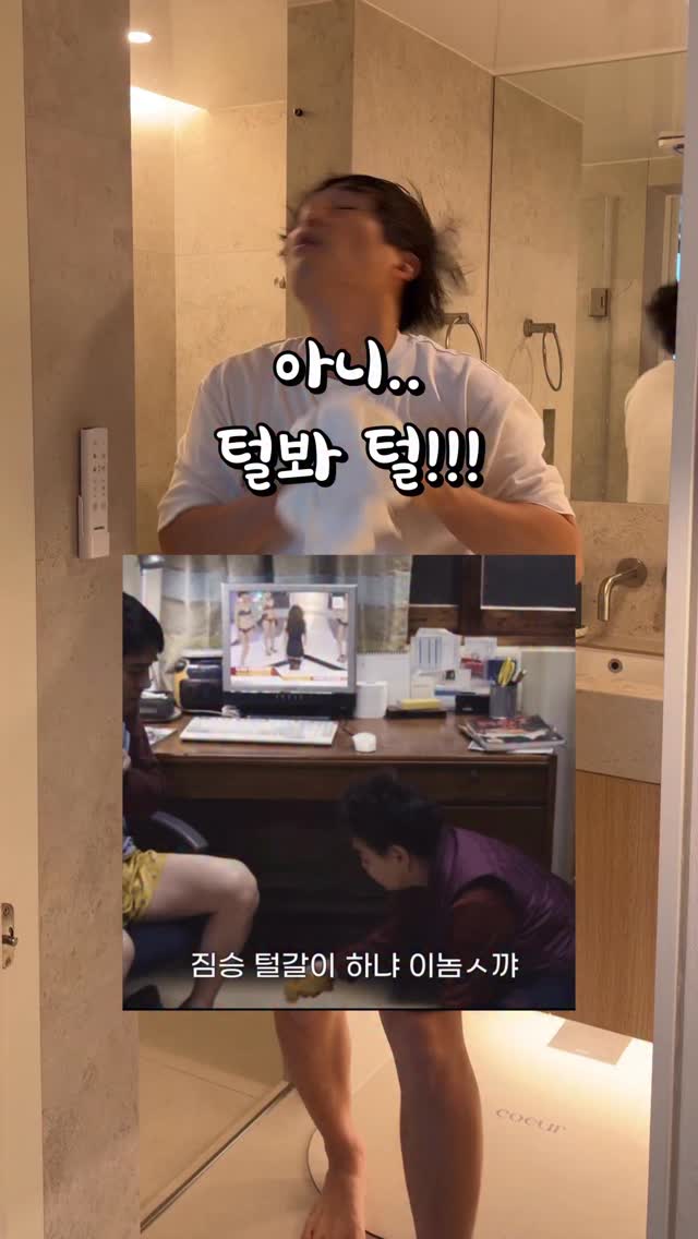 고로고로 돌돌이