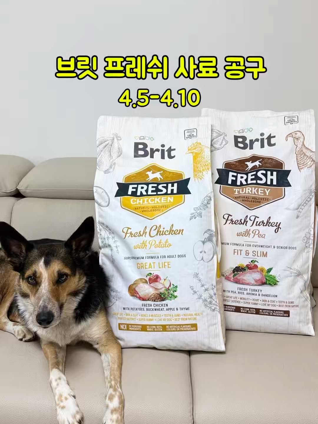 브릿 프레쉬 사료