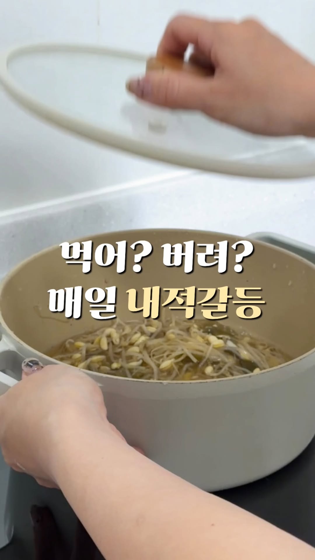 폴쿠치나 푸드블럭