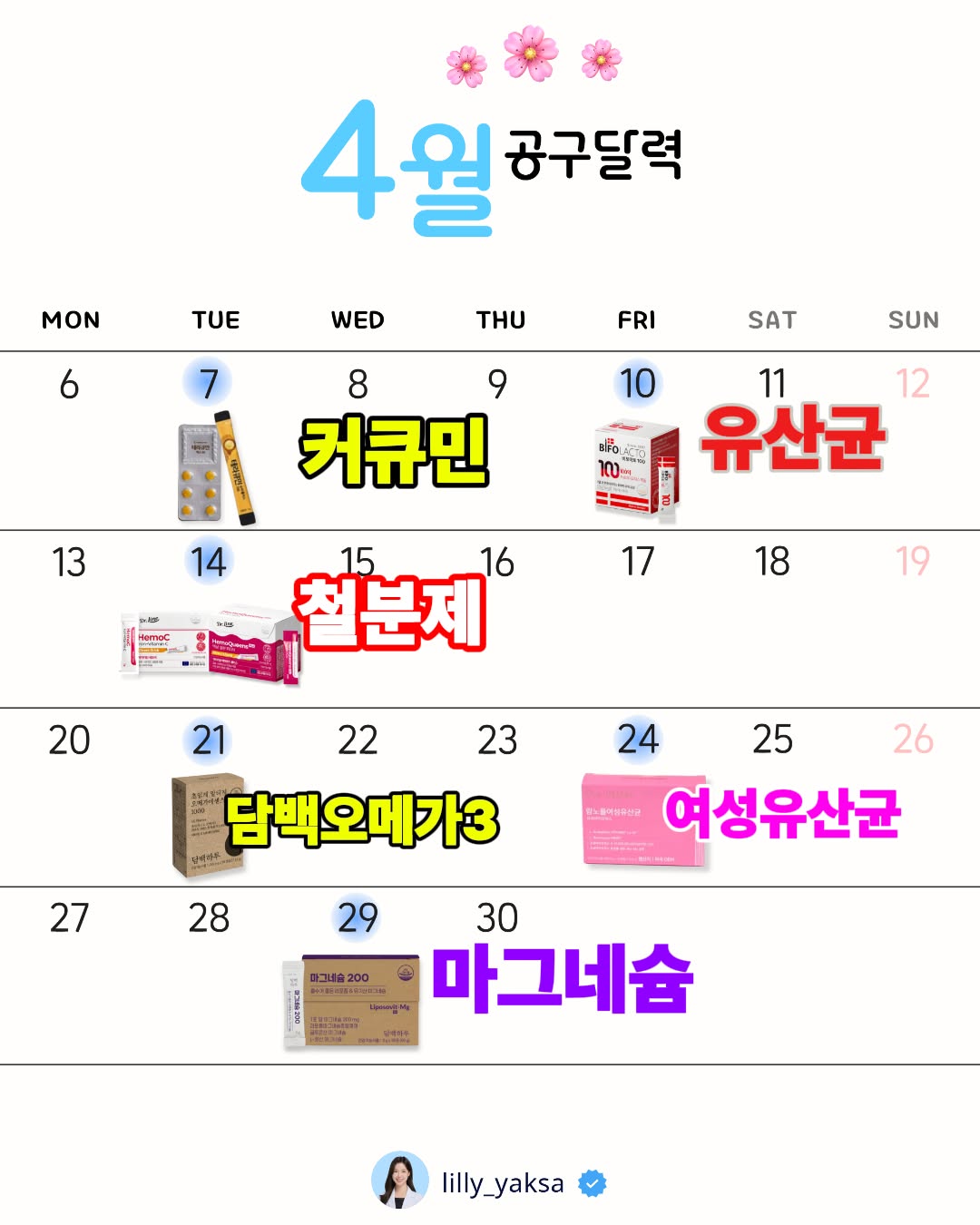 테라큐민, 비포락토100, 헤모씨, 담백오메가3, 람노플여성유산균, 담백하루 흡수가좋은 마그네슘200