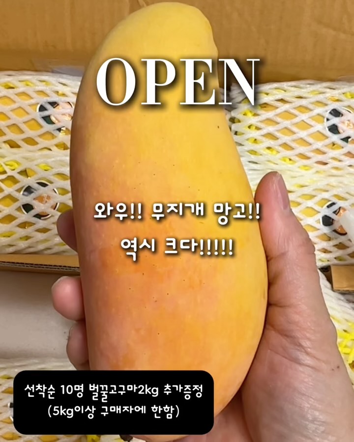 마하차녹 무지개망고