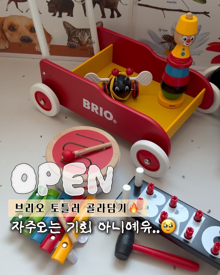 브리오 골라담기