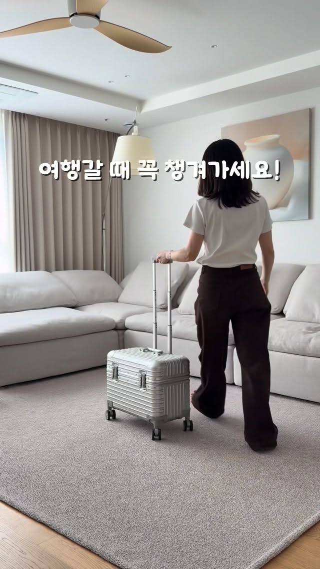 무아스 2in1 스팀다리미