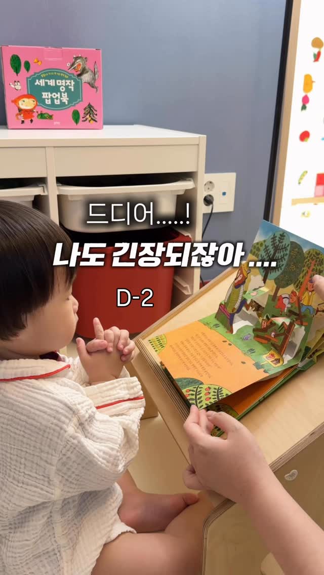 세계명작 팝업북