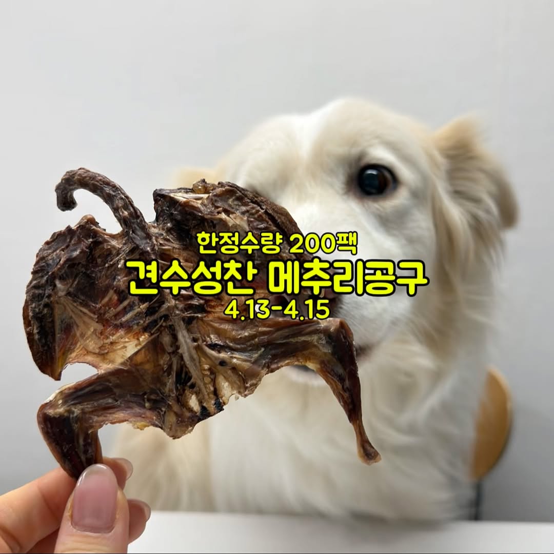 견수성찬 통메추리